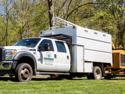 Careers with Hometown Tree Experts in Burtonsville, MD