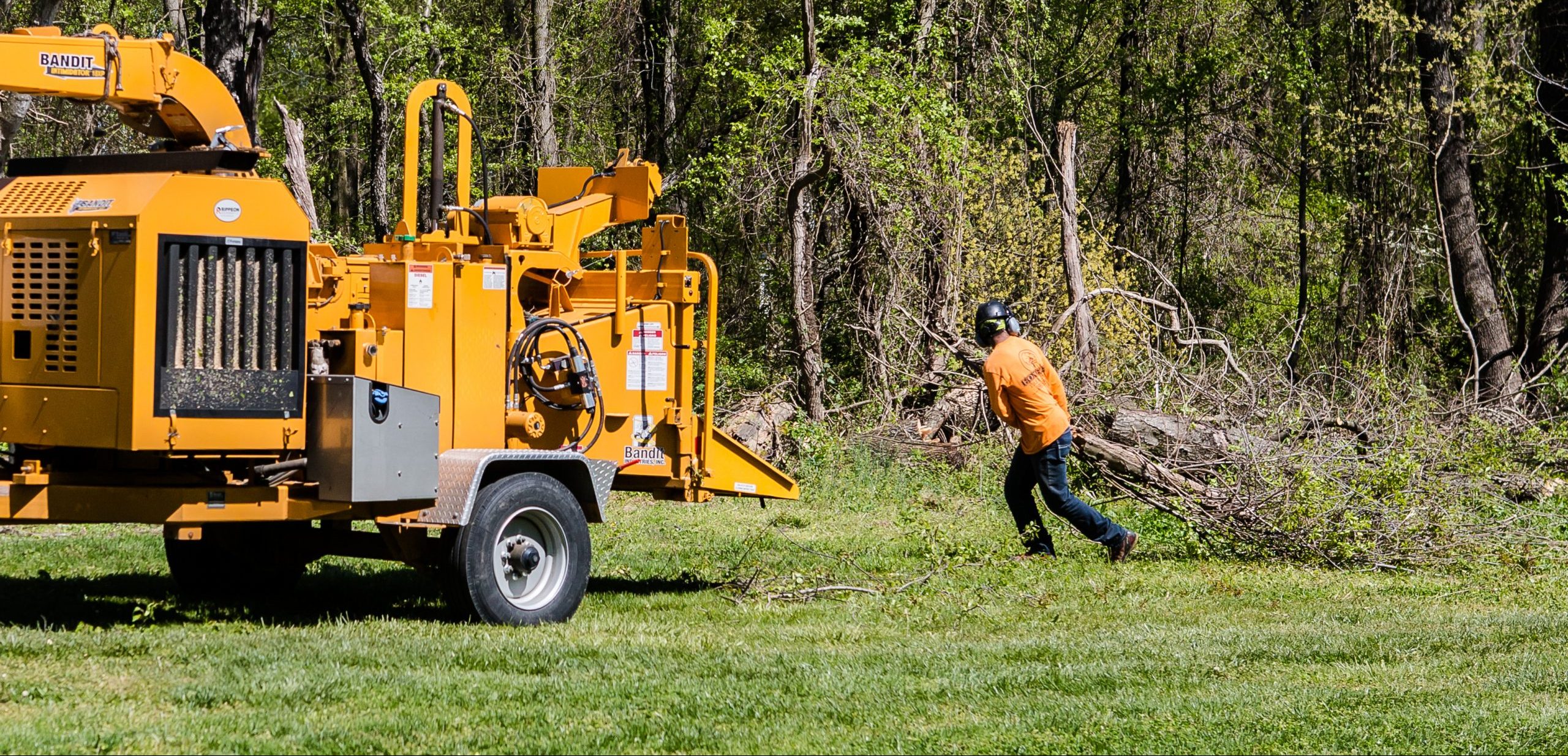 Tree Experts Burtonsville MD