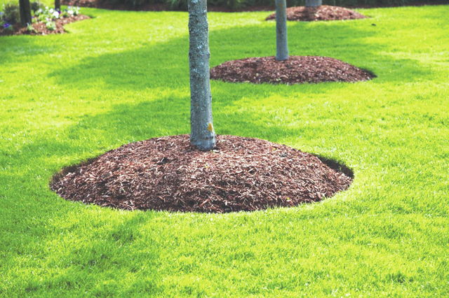 Spruce Up Your Space With Fresh Summer Mulching