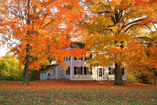 fall foliage in western Maryland