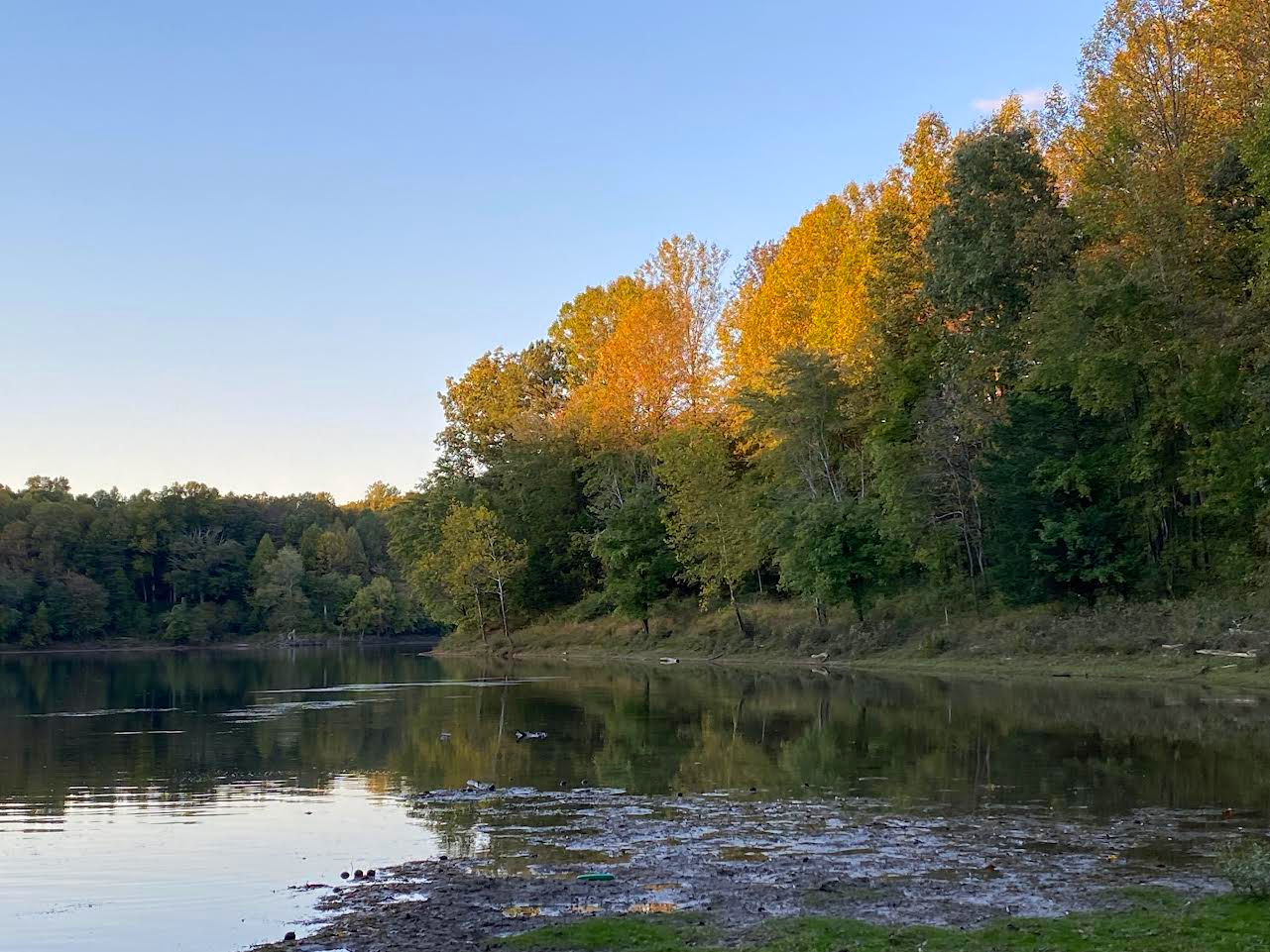 A serene nature park with hiking trails, perfect for outdoor enthusiasts looking to experience Montgomery County’s natural beauty.