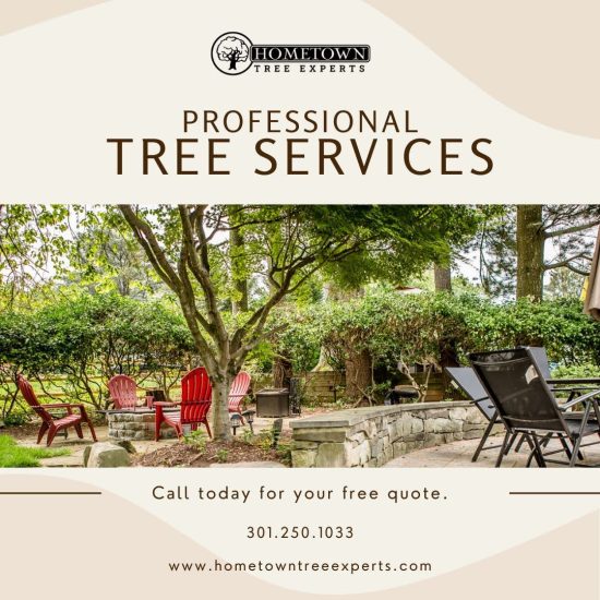 Tree Experts Serving Burtonsville, MD